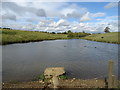 Pond east of Charlton