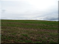 Hillside field off Upper Astrop Road