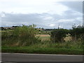 Bridleway towards Buston Farm