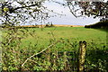 View through a hedge, Garvagh