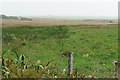 Low-lying grazing land near Dounby