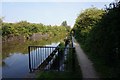 Coventry Canal towards bridge #9