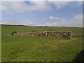 Drystone wall on the slope of Burn Hill