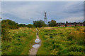 Newcastle-Under-Lyme : Footpath