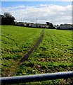 Public footpath through a field north of Peniel, Carmarthenshire