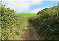 Llwybr ger Ffarm y Nant / Path near Nant Farm