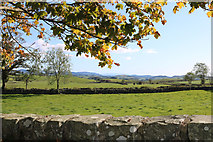 NX7869 : Farmland at Tarbreoch by Billy McCrorie