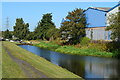 Walsall Canal below Ryders Green Lock No. 4