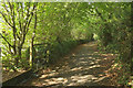 Bridleway near County Court, Torquay