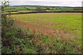 Farmland by Coarsewell Cross