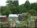 Roundshaw Allotments