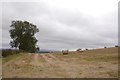 Round bales on Duns Law