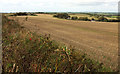 Field near Langston