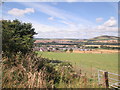 Denholm  from  track  down  Denholm  Hill