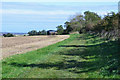 Bridleway near Shilbottle