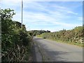 Looking south down Twizell Lane