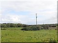 11kV power lines running parallel with Foxfield Road