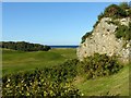 Outcrop by the golf course, Lossiemouth