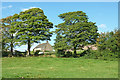 Pasture near Hawk Green south of Marple, Stockport