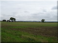 SP2244 : Field near Mansill Farm by JThomas
