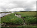 Q8113 : The River Lee and saltmarsh at Blennerville by Jonathan Thacker
