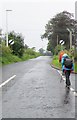 Stirches  Road  leaves  Hawick