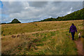 Kinver : Grassy Field