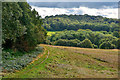 Kinver : Grassy Field