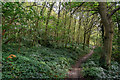 Kinver : Footpath