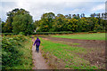 Kinver : Footpath