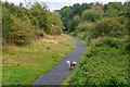 Wordsley : Buckpool Local Nature Reserve - Footpath