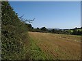 Stubble field, Trevilla