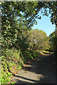 South West Coast Path on Old Teignmouth Road