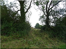 SP3338 : Field entrance off the B4035 by JThomas