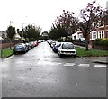 Car-lined and tree-lined Beatty Avenue, Heath, Cardiff