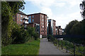 By the Markeaton Brook