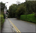 Weak Bridge/Pont Wan sign, Heath Halt Road, Cardiff