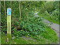 The Middlewood Way near Higher Poynton, Cheshire