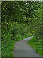 The Middlewood Way near Higher Poynton, Cheshire