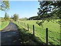 Attractive haughland near Hobkirk in the Scottish Borders