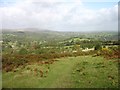 On Meldon Common