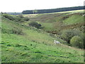 Course of Pines Burn in the Scottish Borders