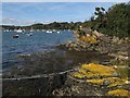 Mylor Slate Formation outcrop