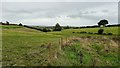 Farmland at The Grove