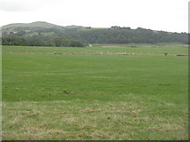  : Grass fields at Kinneddar Park by M J Richardson