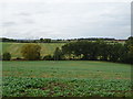 Crop field and power lines, Tadmarton