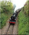 53808 storms up the bank towards Washford