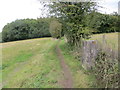 Field-edge footpath to Langton Wood