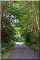 Silverdale : Footpath