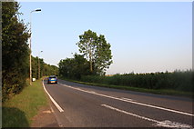 SP9862 : Bedford Road north of Souldrop by David Howard